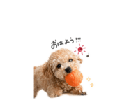839280942