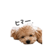 839280952