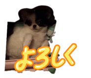 839281835
