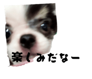 839281839