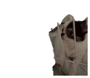 839281843