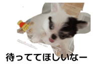 839281846