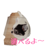 839281847