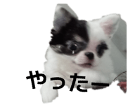 839281848