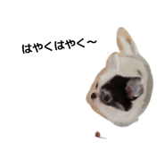 839281854