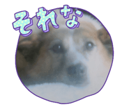 839282504