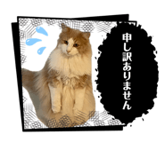 839282582