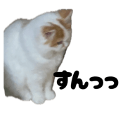 839283072