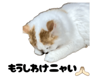 839283078