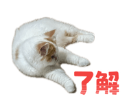 839283092
