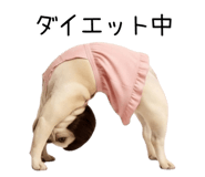 839283383