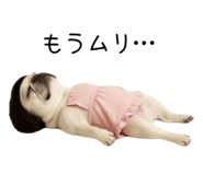 839283384