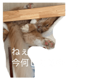 839283420
