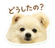839283729