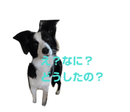 839283762