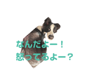 839283764