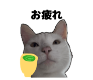 839284443