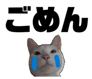 839284445