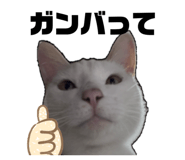 839284447