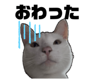 839284448