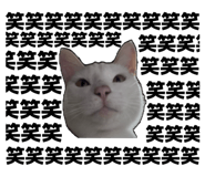 839284454