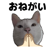 839284456