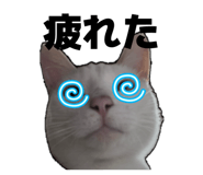 839284458