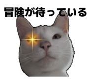 839284460