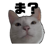 839284461