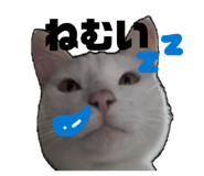 839284462