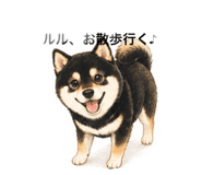 839284787