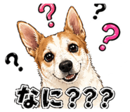 839284911