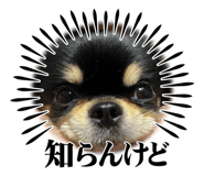 839284951