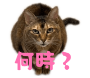 839285290