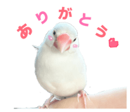 839285585