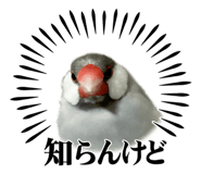 839285587