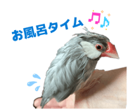 839285590