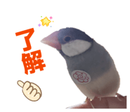 839285592