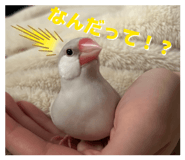 839285597