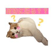 839285953