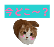 839285955