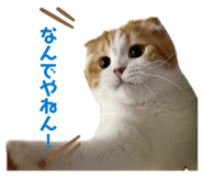 839285966