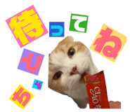 839285974