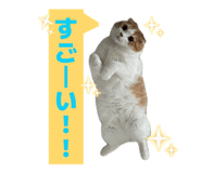 839285976