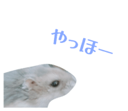 839286057