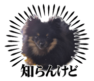 839286243