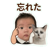 839286354