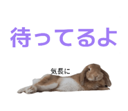 839286408