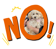 839286660