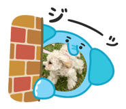 839286667